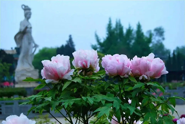 src=http___p4.itc.cn_images01_20210402_c84175a4e2b543b090e8482e107953d7.jpeg&refer=http___p4.itc.webp.jpg